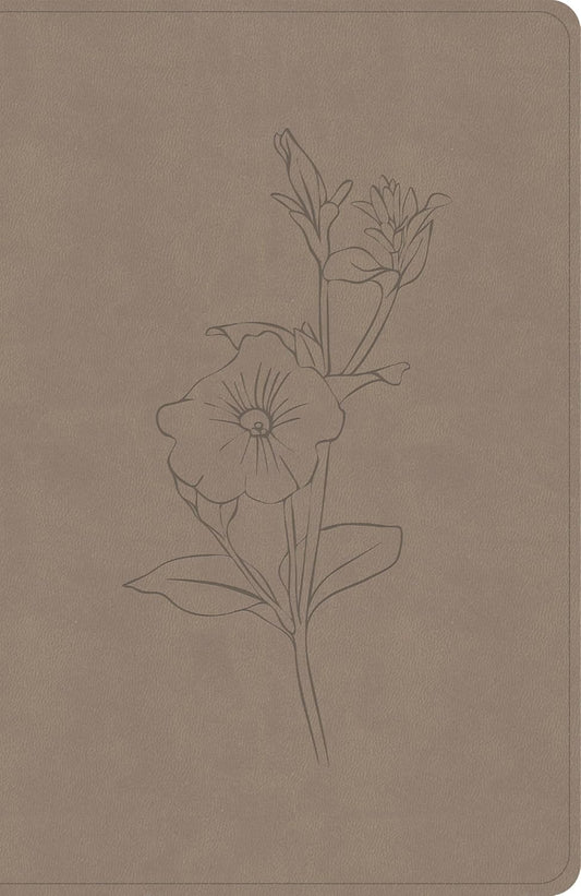 B CSB PERSONAL SIZE GIANT PRINT BIBLE EARTH INDEXED (RED LETTER EDITION)