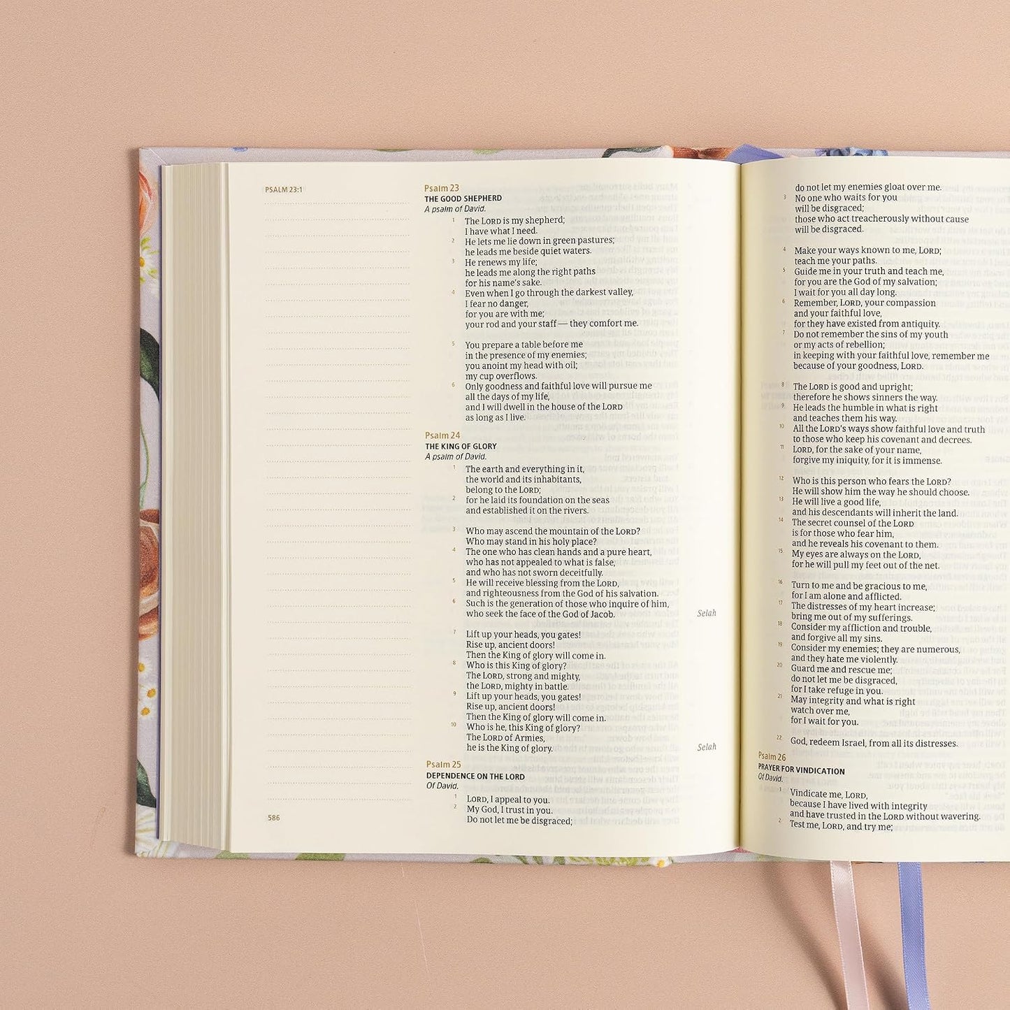 B CSB HOSANNA REVIVAL NOTETAKING BIBLE  LOVELAND