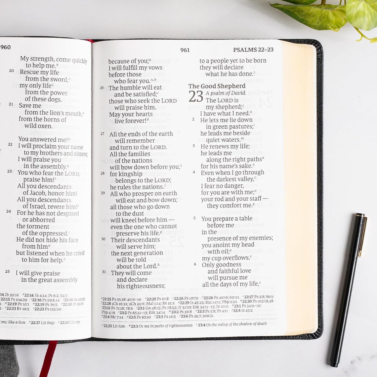 B CSB SUPER GIANT PRINT REFERENCE BIBLE  DIGITAL STUDY EDITION  BLACK (RED LETTER EDITION)