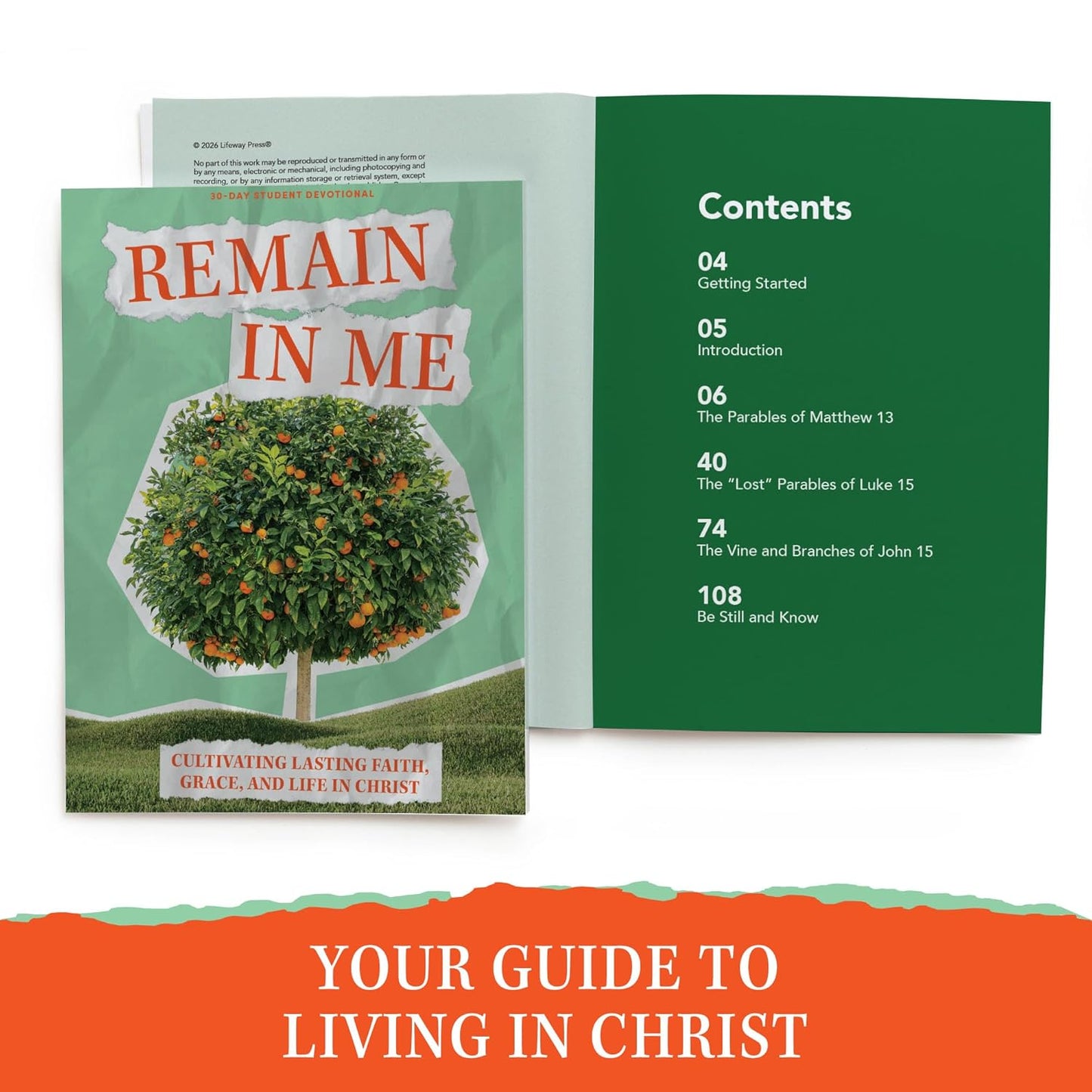 REMAIN IN ME: CULTIVATING LASTING FAITH  GRACE  AND LIFE IN CHRIST (TEEN DEVOTIONAL)