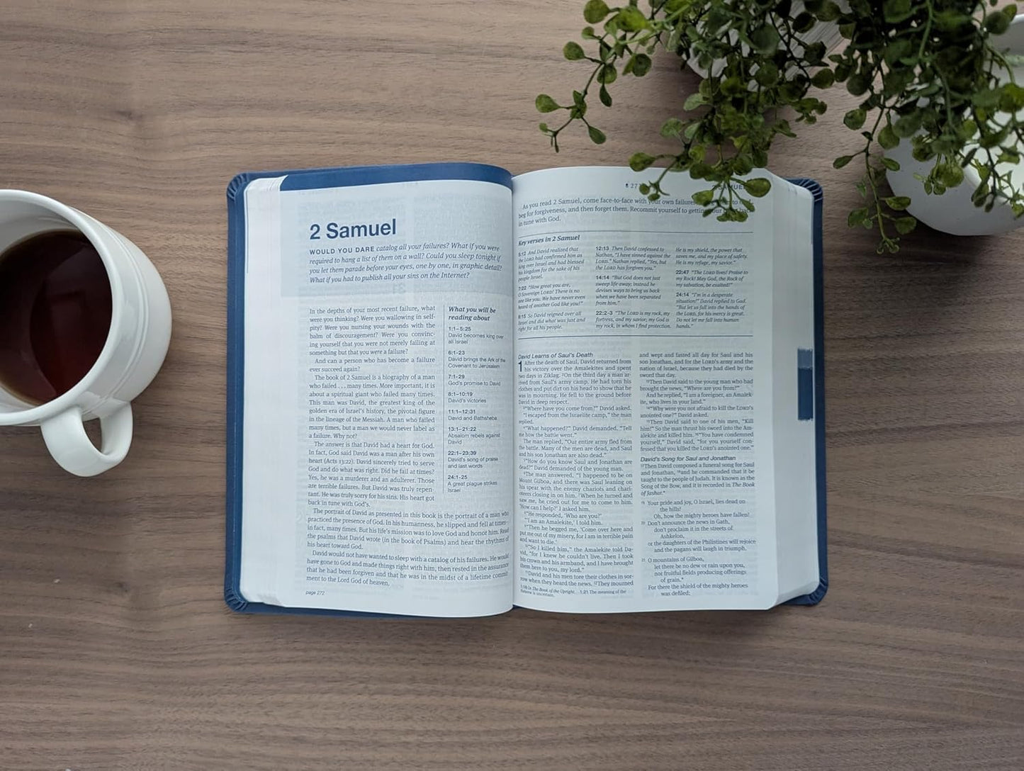 B NLT HELPFINDER BIBLE  FILAMENT ENABLED BLUE (RED LETTER EDITION)