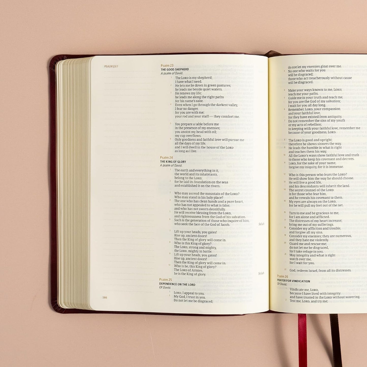B CSB HOSANNA REVIVAL NOTETAKING BIBLE BURGUNDY