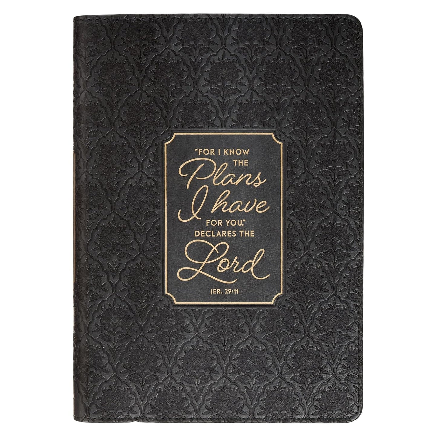 JOURNAL (I KNOW THE PLANS GRAPHITE COLLECTION)