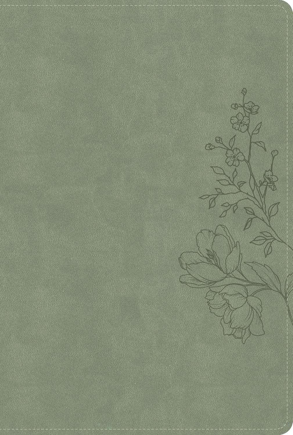 B CSB LARGE PRINT THINLINE BIBLE  DIGITAL STUDY EDITION  SAGE (RED LETTER EDITION)