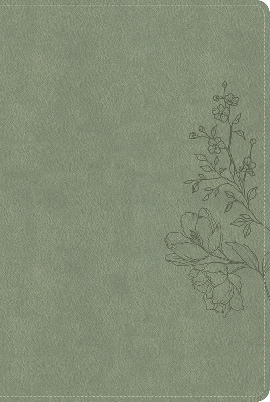 B CSB LARGE PRINT THINLINE BIBLE  DIGITAL STUDY EDITION  SAGE (RED LETTER EDITION)