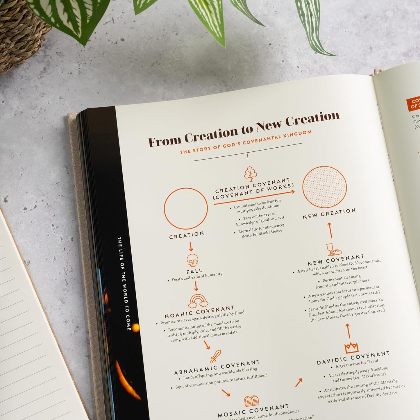 THE CHRISTIAN THEOLOGY HANDBOOK  CREAM