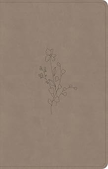 B CSB THINLINE REFERENCE BIBLE  DIGITAL STUDY EDITION  EARTH (RED LETTER EDITION)