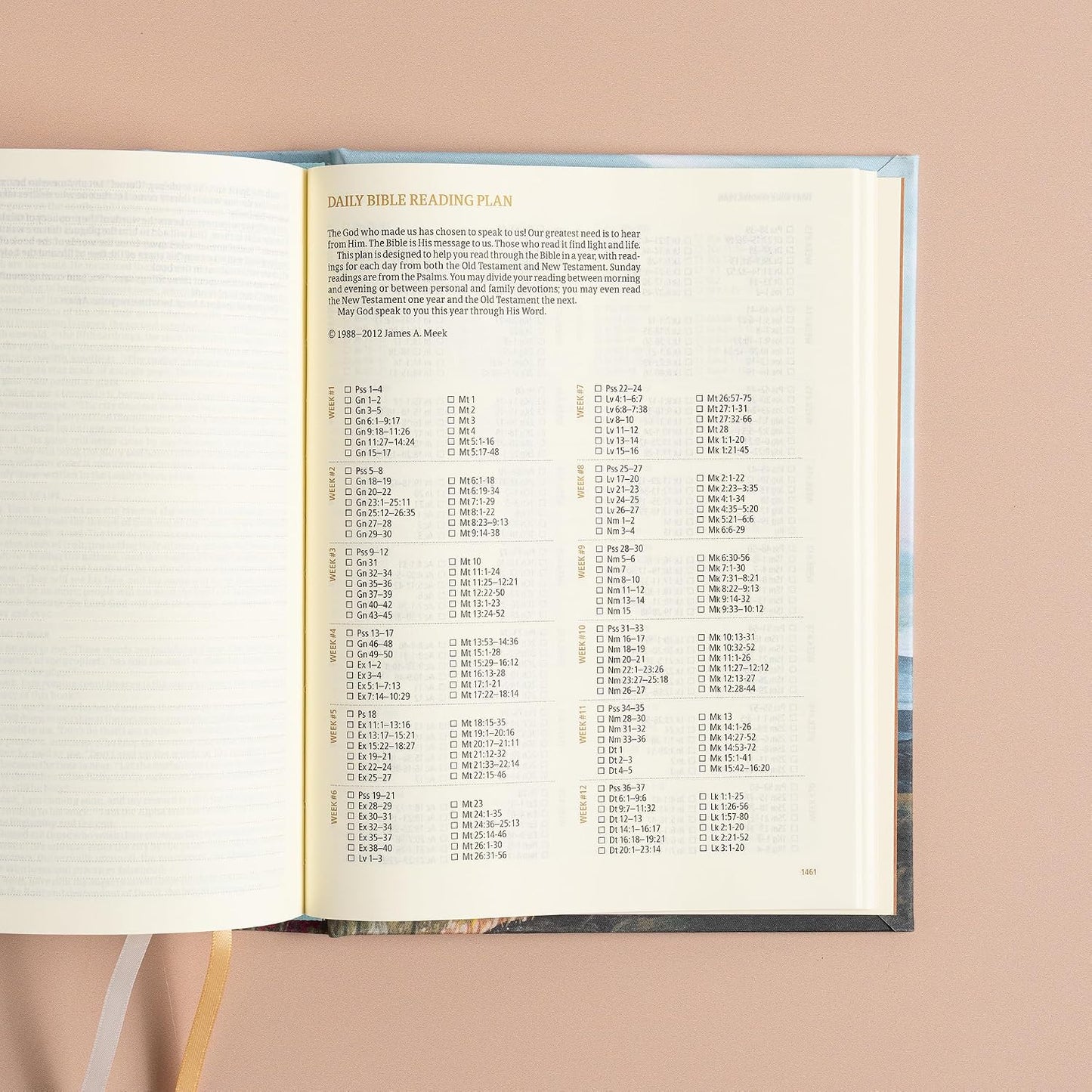 B CSB HOSANNA REVIVAL NOTETAKING BIBLE  MOUNTAIN