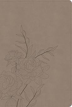 B CSB LARGE PRINT THINLINE BIBLE  DIGITAL STUDY EDITION  EARTH (RED LETTER EDITION)