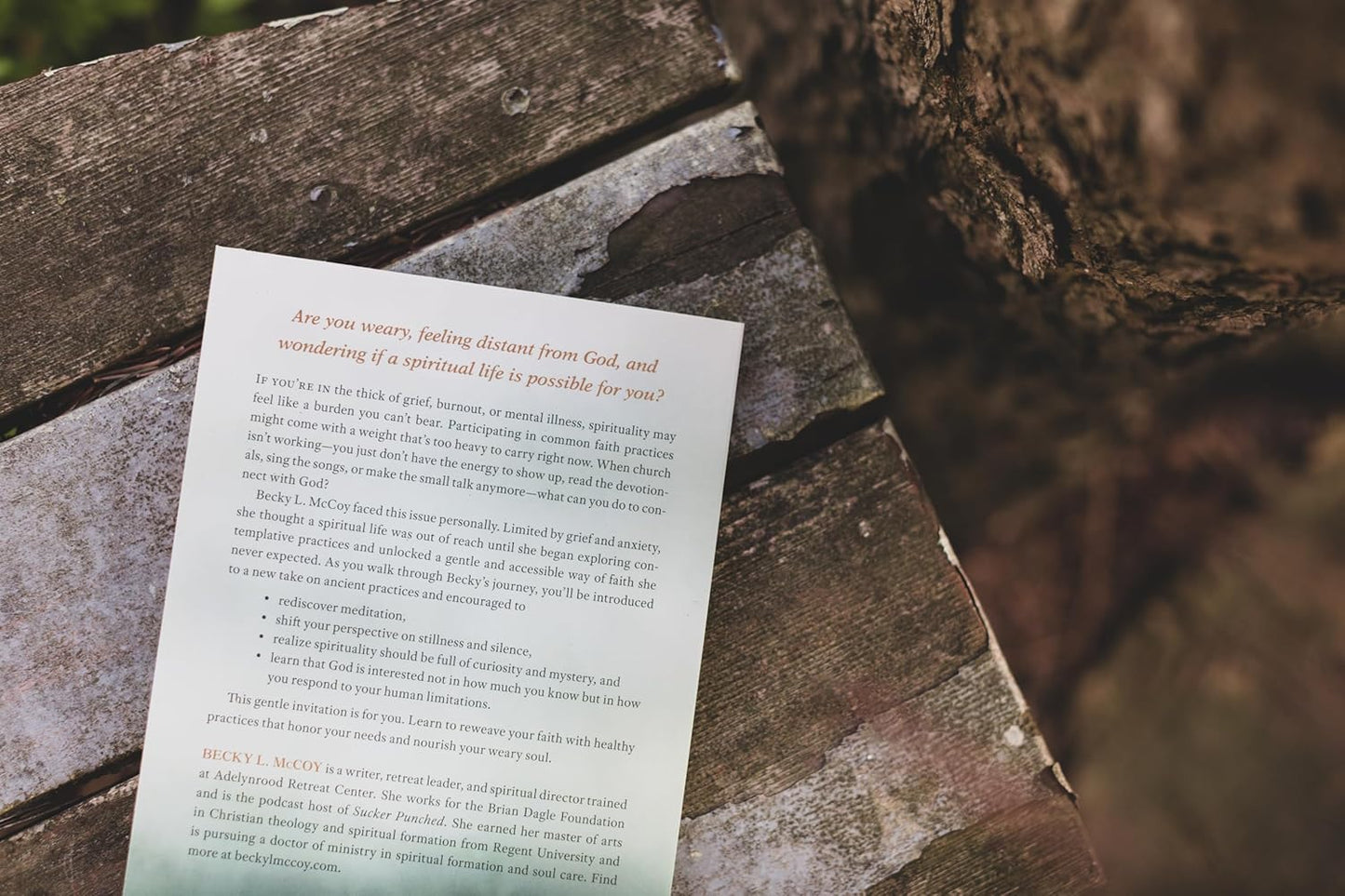 IN THE COMPANY OF THE WEARY: TEN GENTLE SPIRITUAL PRACTICES FOR YOUR TIRED SOUL