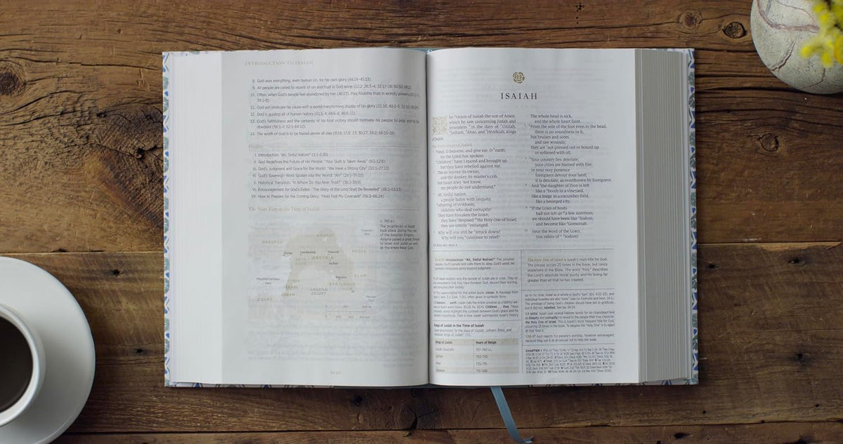 B ESV WOMEN'S STUDY BIBLE  ARTIST SERIES BY LULIE WALLACE  SARAH
