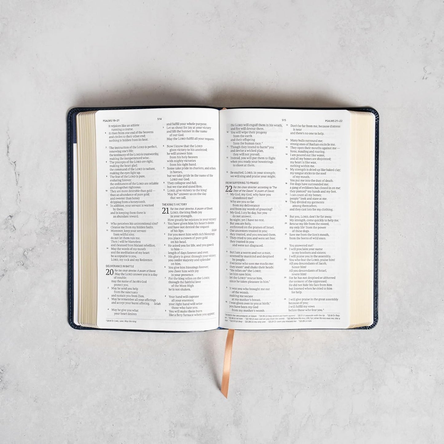 B CSB ATHLETES BIBLE BLUE (RED LETTER EDITION)