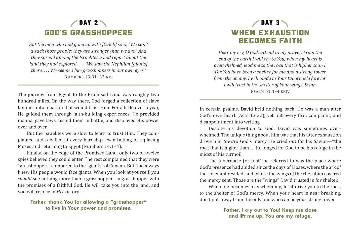 A STRONG AND COURAGEOUS GUY: 365 DEVOTIONS