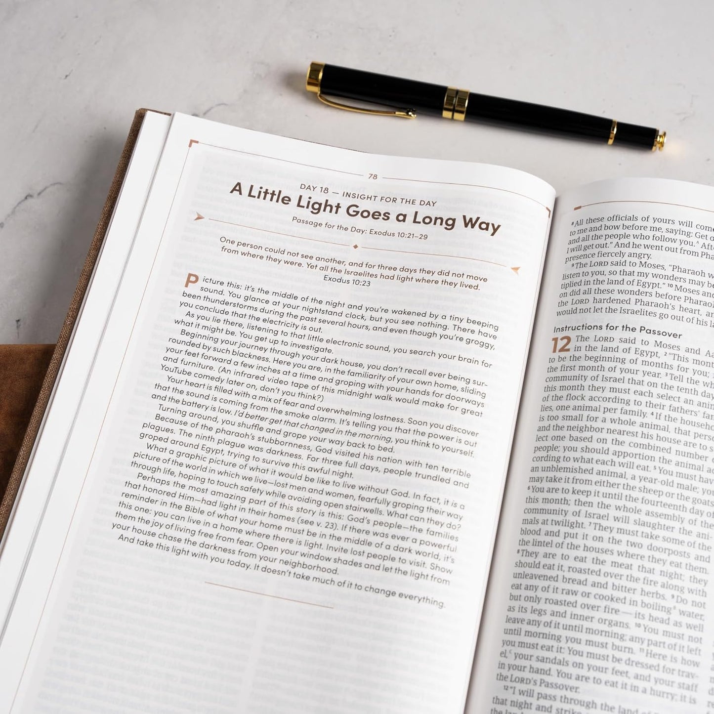 B CSB MEN'S DAILY BIBLE BROWN (BLACK LETTER EDITION)