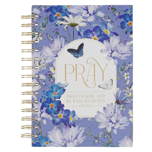 JOURNAL: BUTTERFLY  PRAY  BLUE