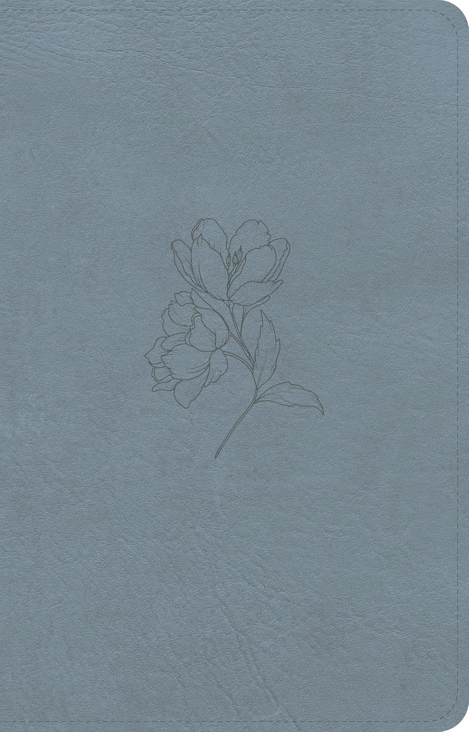 B CSB PERSONAL SIZE BIBLE  DIGITAL STUDY EDITION  BLUE (RED LETTER EDITION)