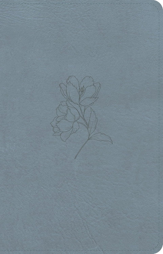 B CSB PERSONAL SIZE BIBLE  DIGITAL STUDY EDITION  BLUE (RED LETTER EDITION)