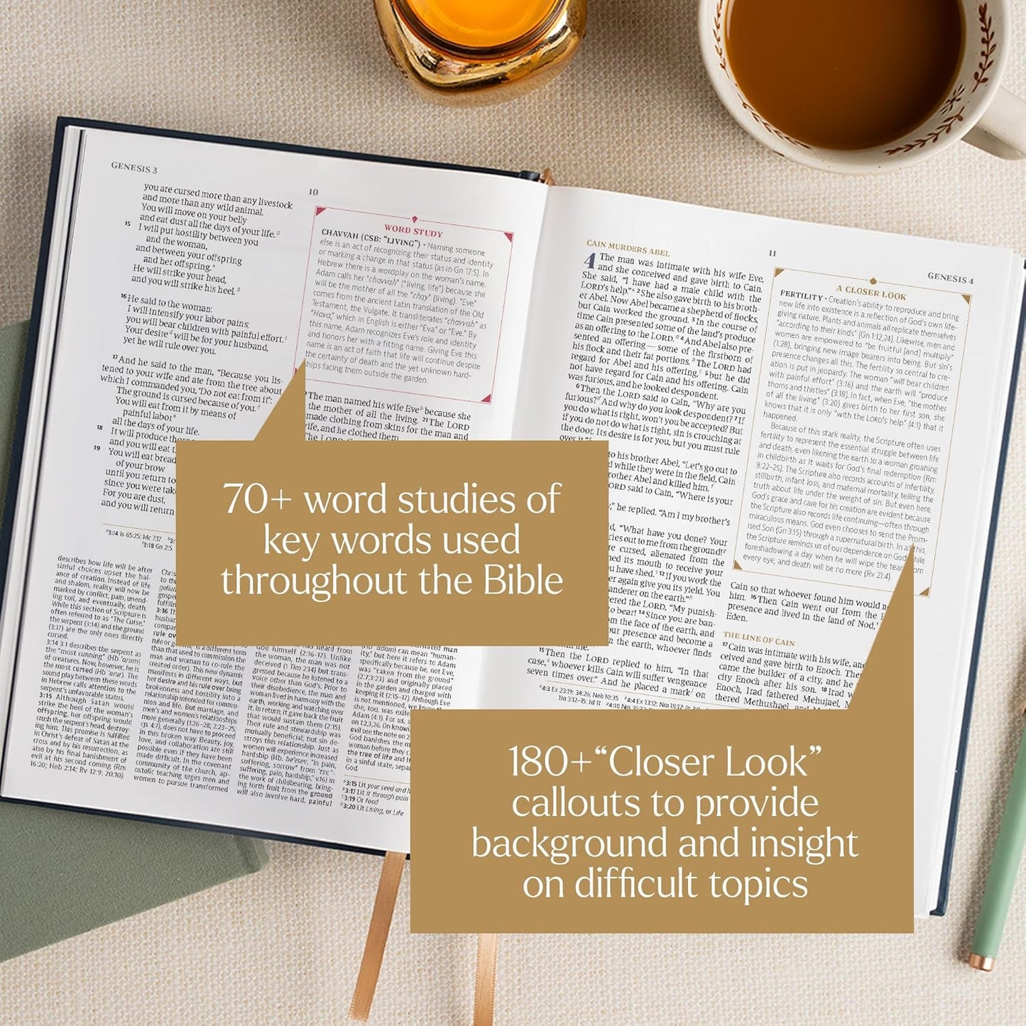 B CSB WOMEN'S STUDY BIBLE