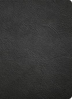 B NASB STUDY BIBLE  BLACK INDEXED (BLACK LETTER EDITION)