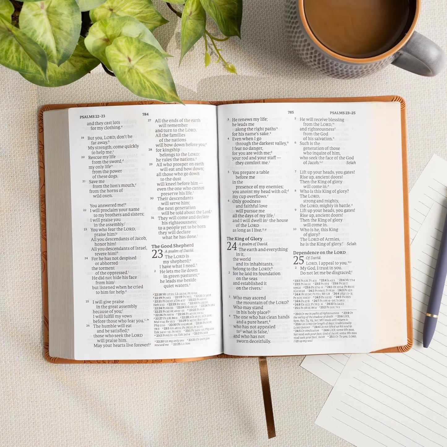 B CSB LARGE PRINT PERSONAL SIZE REFERENCE BIBLE  DIGITAL STUDY EDITION  BROWN (RED LETTER EDITION)