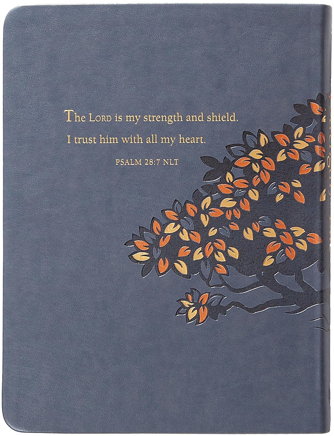 STRENGTH FOR LIFE: 365 DAILY DEVOTIONS FOR MEN