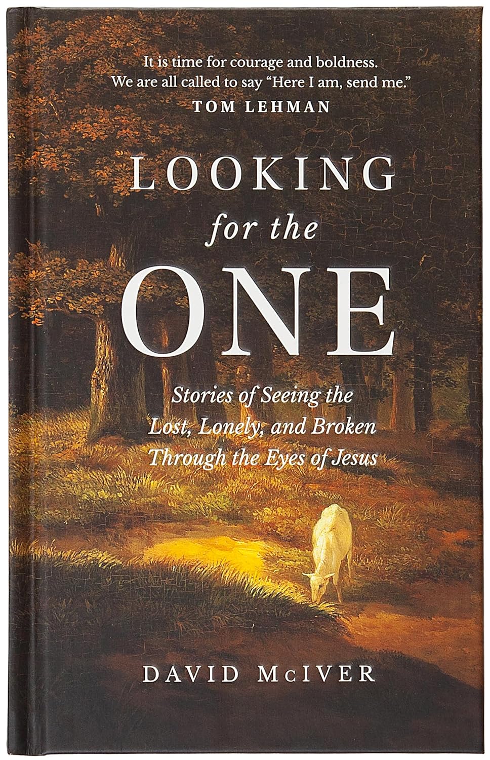 LOOKING FOR THE ONE: STORIES OF SEEING THE LOST  LONELY  AND BROKEN THROUGH THE EYES OF JESUS