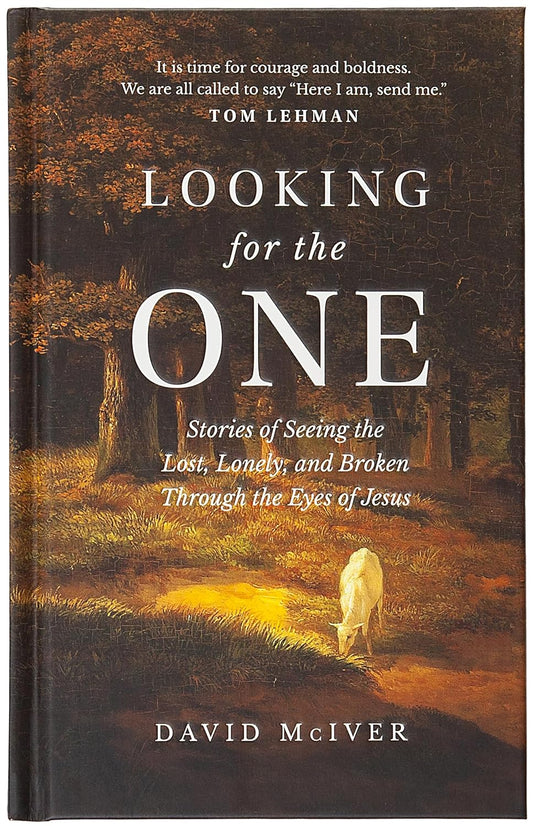 LOOKING FOR THE ONE: STORIES OF SEEING THE LOST  LONELY  AND BROKEN THROUGH THE EYES OF JESUS