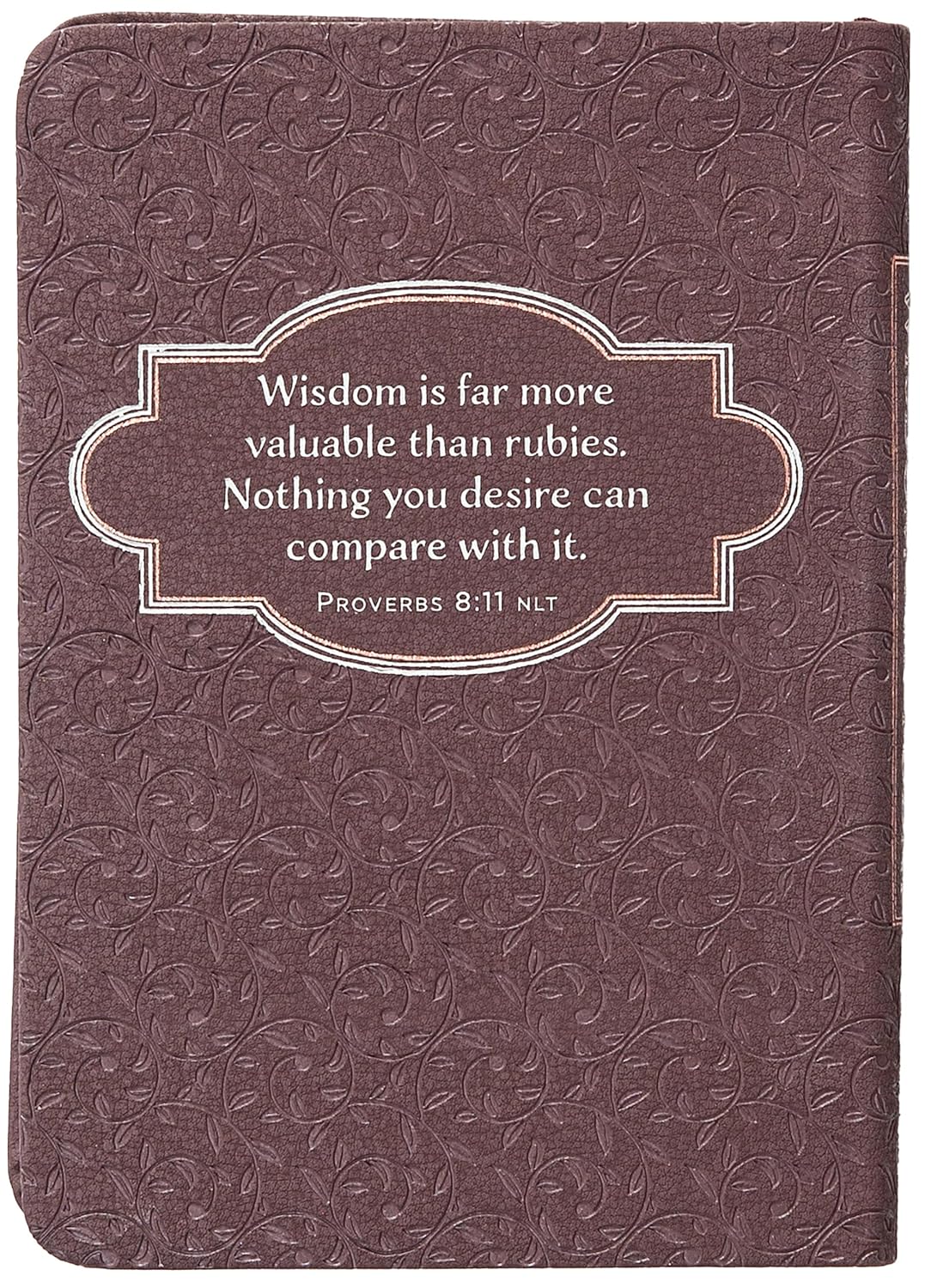 WISDOM FOR TODAY: 365 DEVOTIONS FROM THE BOOK OF PROVERBS