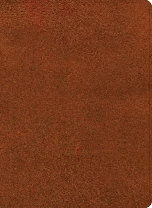 B NASB STUDY BIBLE  BURNT SIENNA INDEXED (BLACK LETTER EDITION)
