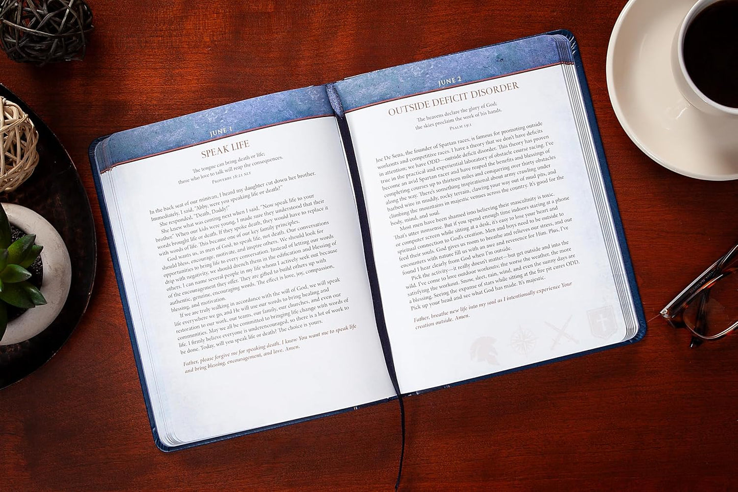 DAILY WISDOM FOR MEN: A 365-DAY DEVOTIONAL