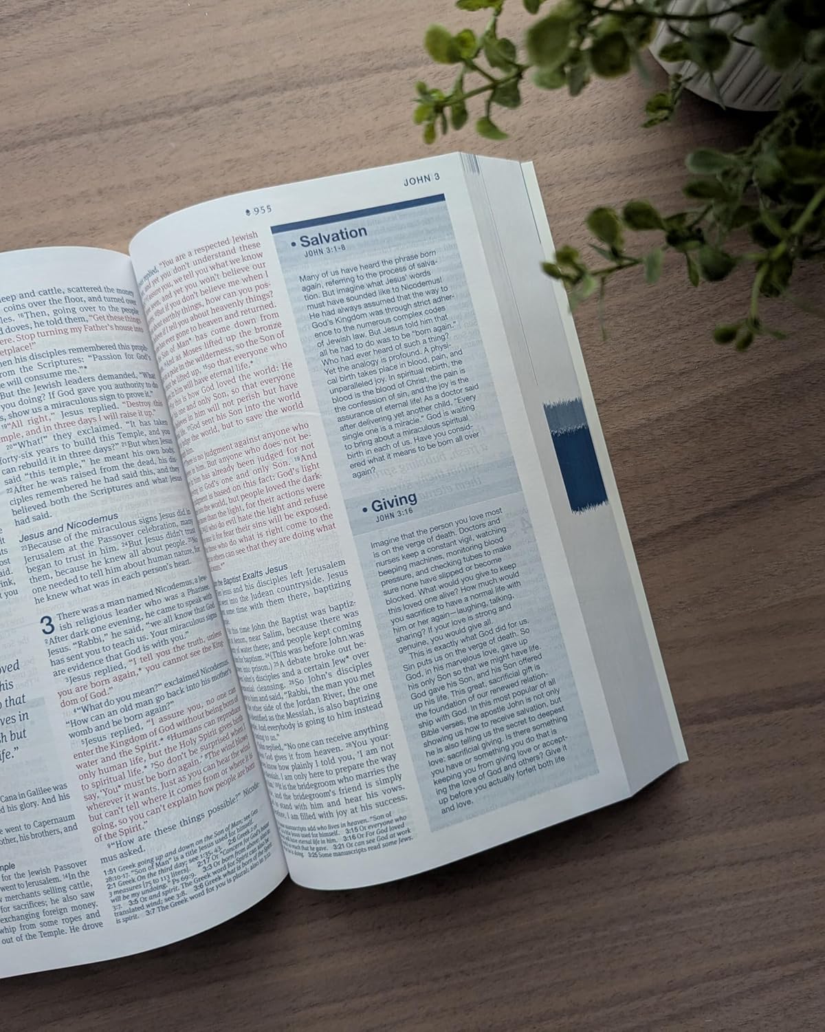 B NLT HELPFINDER BIBLE  FILAMENT ENABLED (RED LETTER EDITION)
