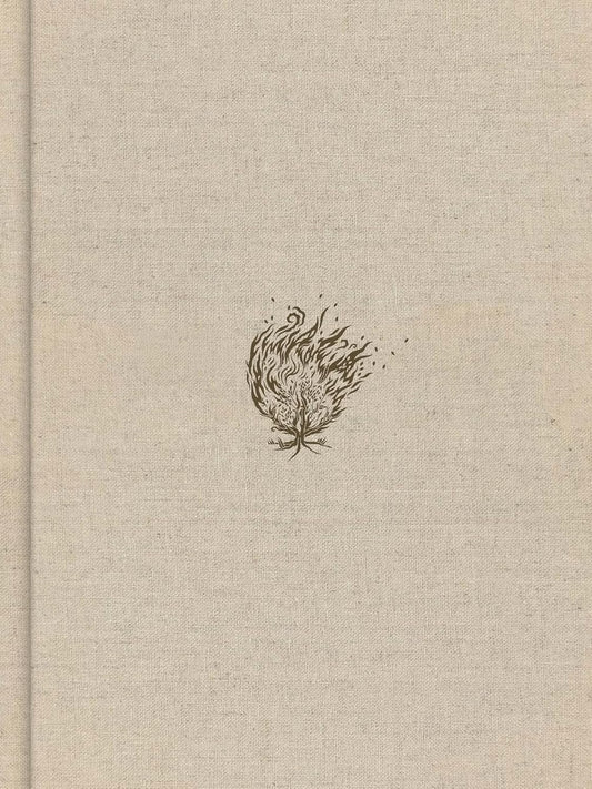 B CSB EXPERIENCING GOD BIBLE CREAM INDEXED (RED LETTER EDITION)