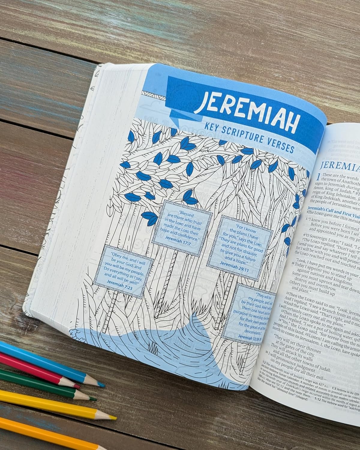 B NLT INSPIRE BIBLE FOR KIDS