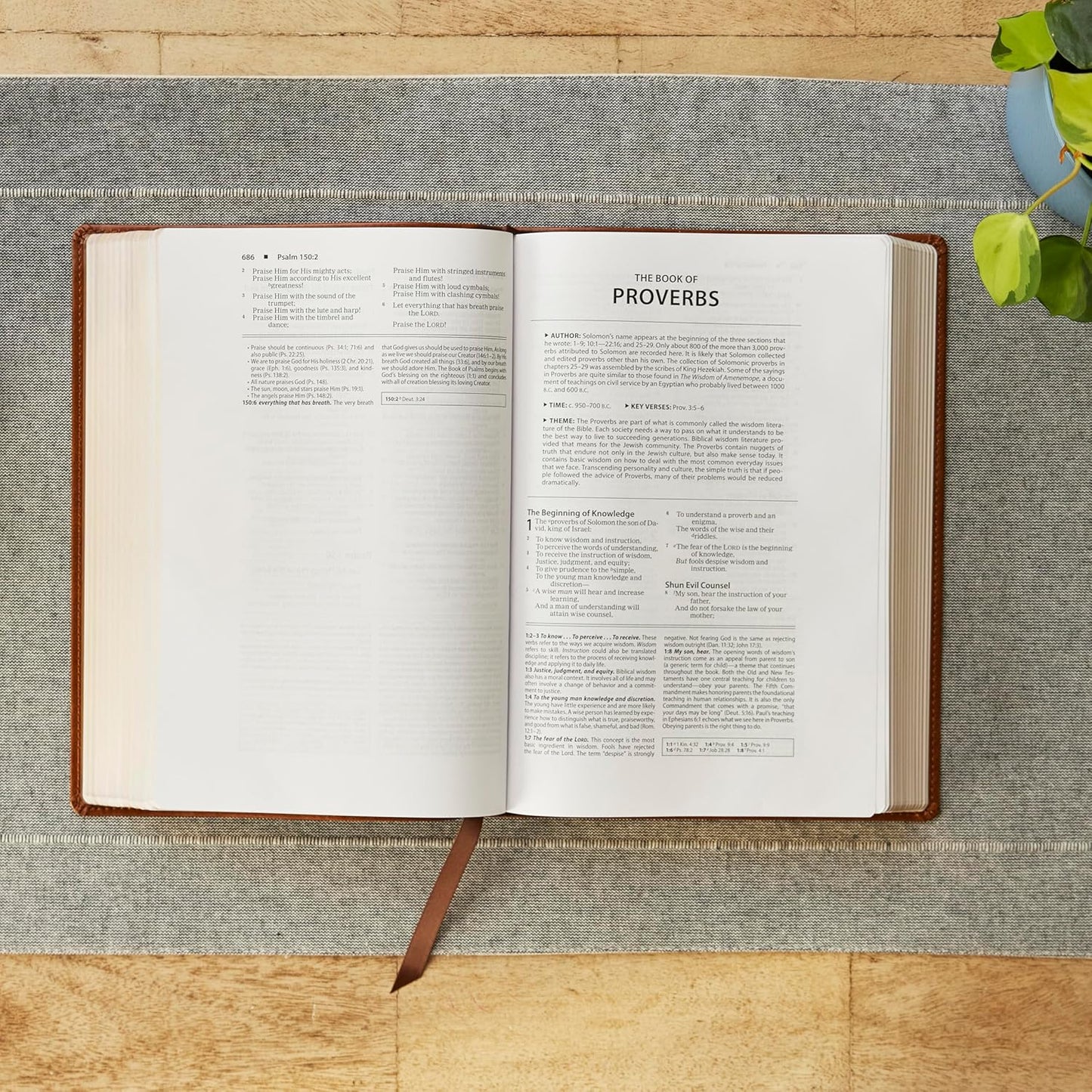B NKJV FOUNDATION STUDY BIBLE  BLACK (RED LETTER EDITION)