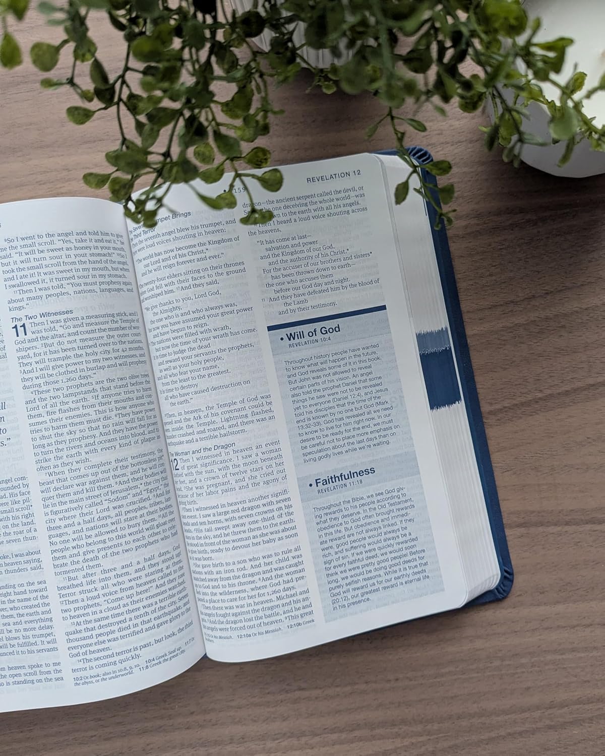 B NLT HELPFINDER BIBLE  FILAMENT ENABLED BLUE (RED LETTER EDITION)