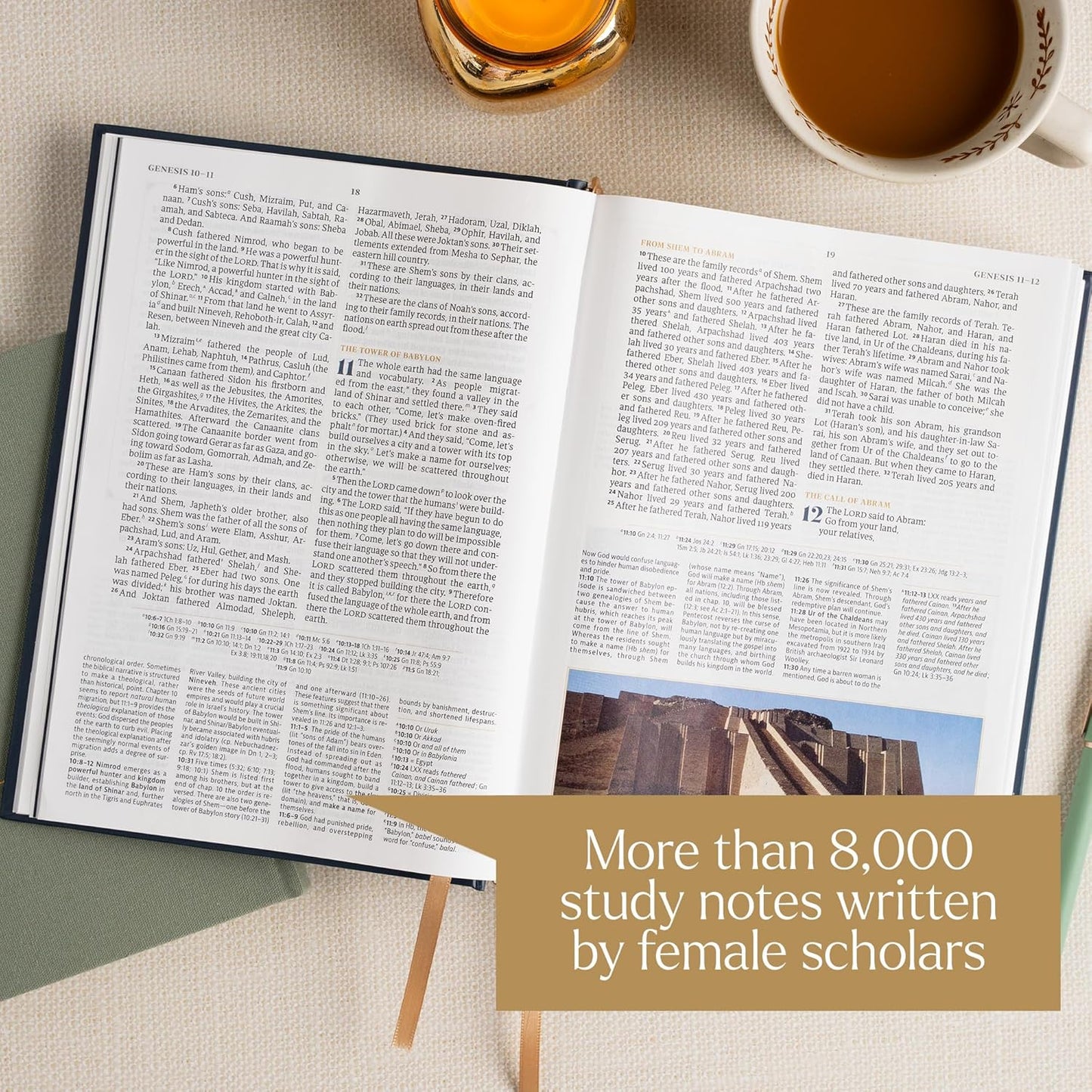 B CSB WOMEN'S STUDY BIBLE