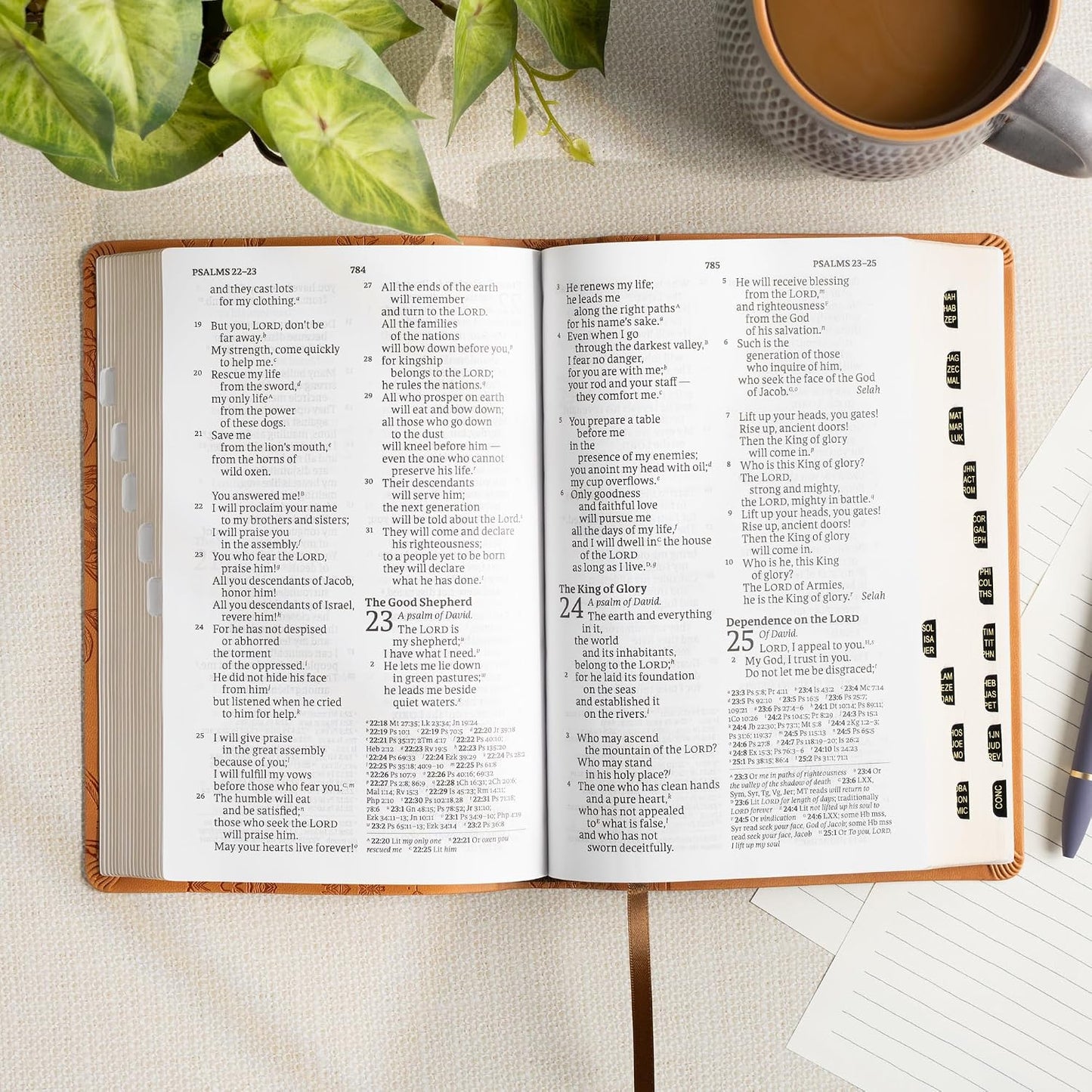 B CSB LARGE PRINT PERSONAL SIZE REFERENCE BIBLE  DIGITAL STUDY EDITION  BROWN  INDEXED (RED LETTER EDITION)