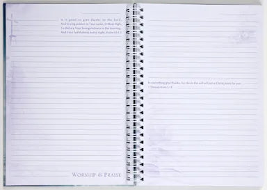 JOURNAL: WINGS LIKE EAGLES