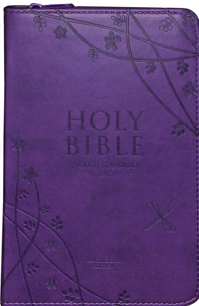 B ESV ANGLICISED COMPACT GIFT BIBLE PURPLE WITH ZIP