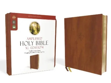 B AMPLIFIED HOLY BIBLE XL EDITION BROWN