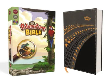 B NKJV ADVENTURE BIBLE GRAY