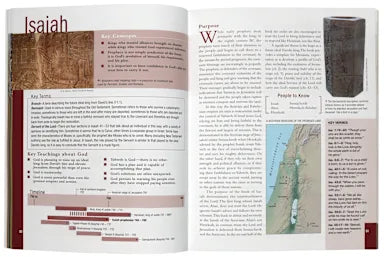THE ESSENTIAL BIBLE COMPANION: KEY INSIGHTS FOR READING GODS WORD (NIV APPLICATION COMMENTARY RESOURCES SERIES)