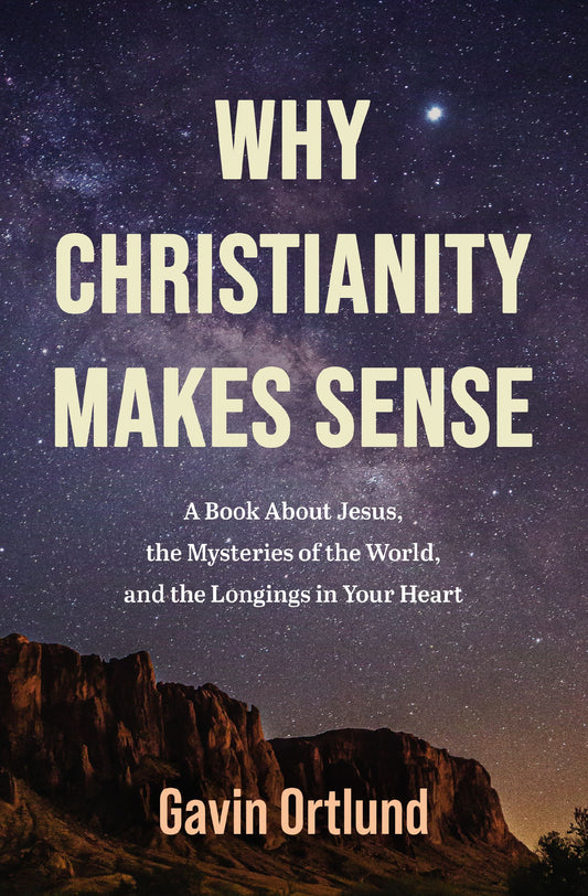 WHY CHRISTIANITY MAKES SENSE: A BOOK ABOUT JESUS  THE MYSTERIES OF THE WORLD  AND THE LONGINGS IN YOUR HEART