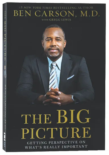 BIG PICTURE  THE: GETTING PERSPECTIVE ON WHAT'S REALLY IMPORTANT