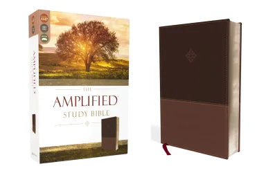 B AMPLIFIED STUDY BIBLE BROWN (BLACK LETTER EDITION)