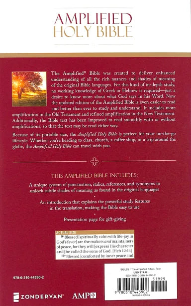 B AMPLIFIED HOLY BIBLE (BLACK LETTER EDITION)