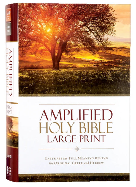 B AMPLIFIED HOLY BIBLE LARGE PRINT (BLACK LETTER EDITION)