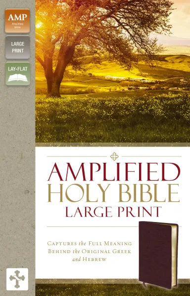 B AMPLIFIED HOLY BIBLE LARGE PRINT BURGUNDY (BLACK LETTER EDITION)