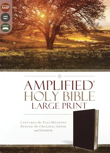 B AMPLIFIED HOLY BIBLE LARGE PRINT BURGUNDY (BLACK LETTER EDITION)