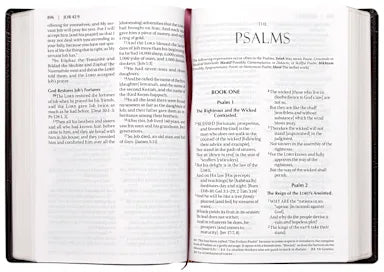 B AMPLIFIED HOLY BIBLE LARGE PRINT BURGUNDY (BLACK LETTER EDITION)